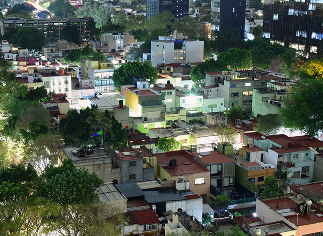 Desarrollo-Local